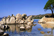 罗马诺：埃苏戈将与切尔西签约7+1年，他将为世俱杯做好准备.